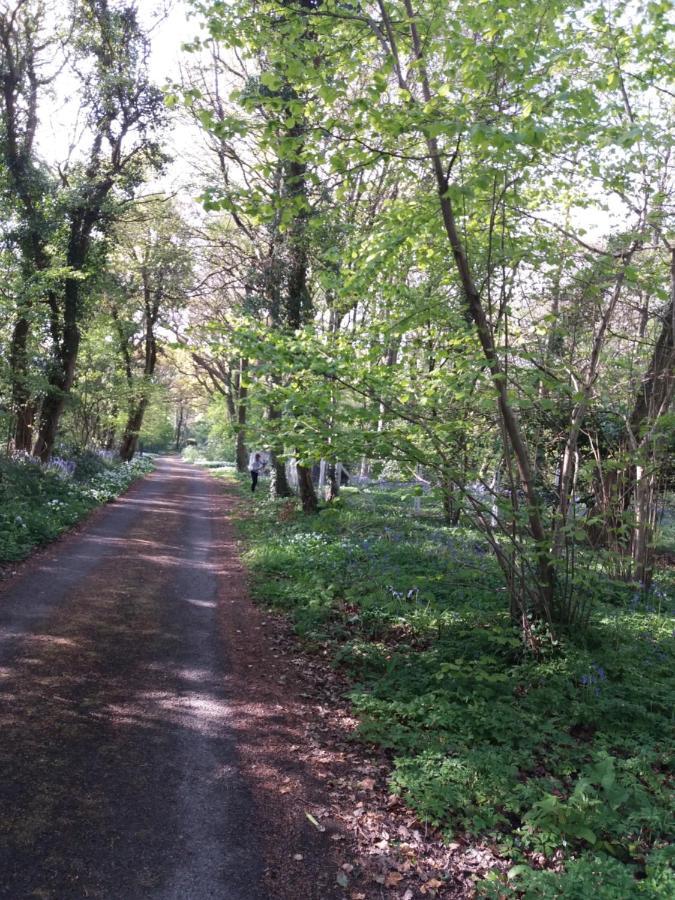 La Parenthese Bois De Cise * Ault