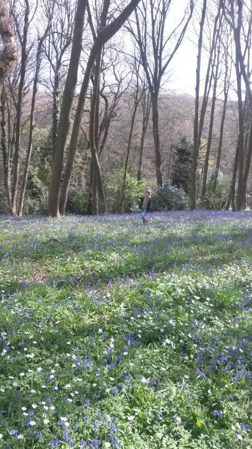 La Parenthese Bois De Cise