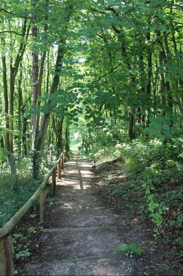 Appartement La Parenthese Bois De Cise Ault