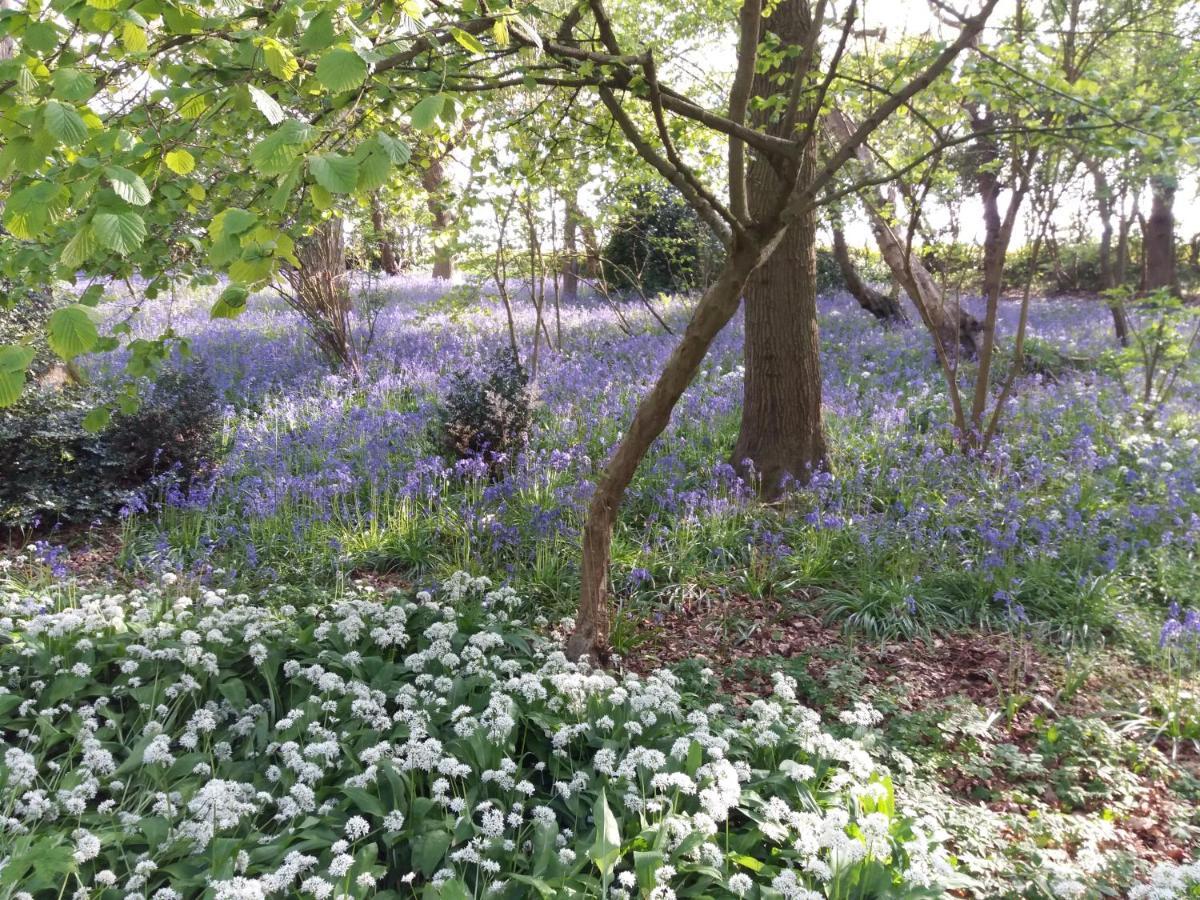 La Parenthese Bois De Cise