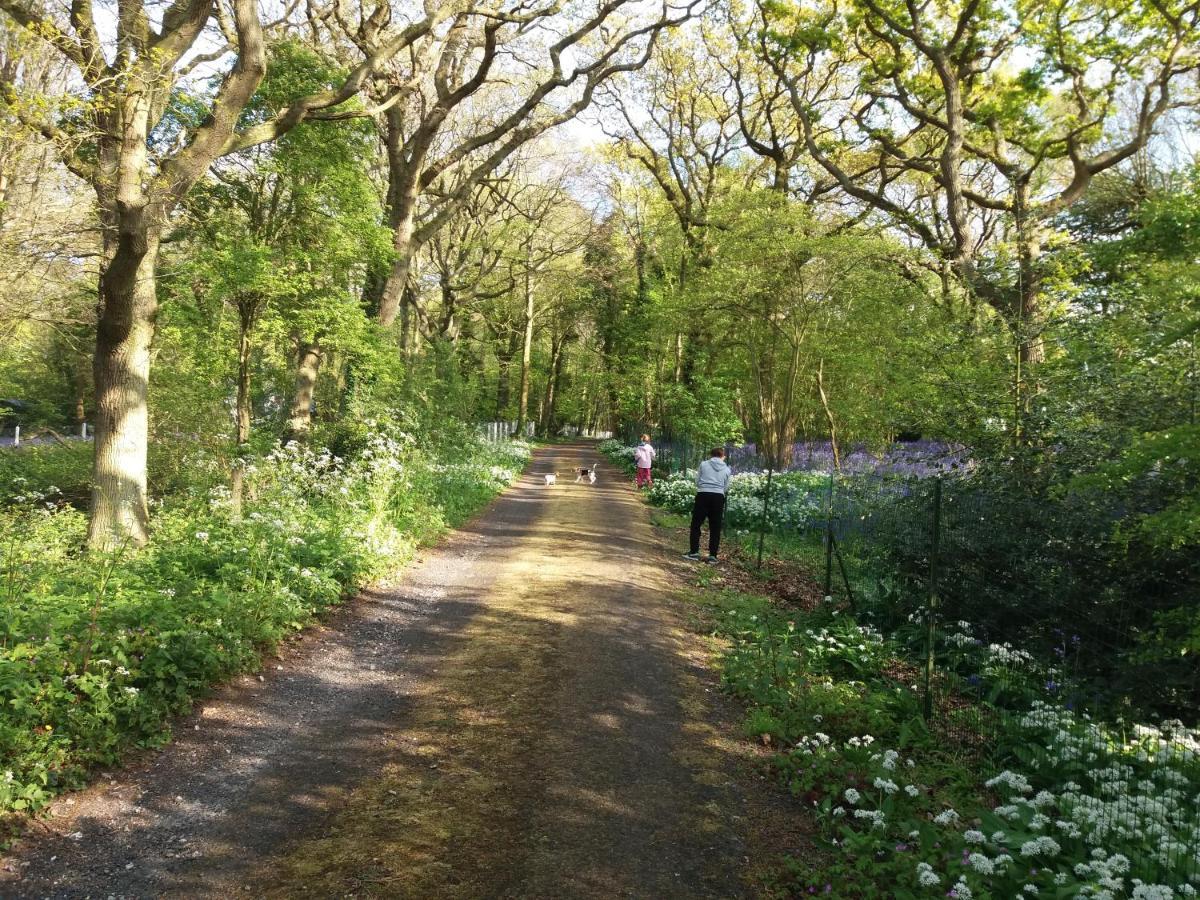 Apartment La Parenthese Bois De Cise